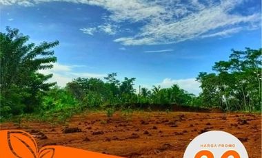Tanah dijual di Jawa Timur, Gresik