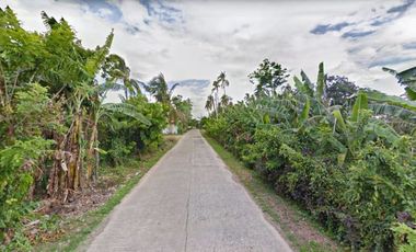 Big Farm Lot for sale in Mataas na Kahoy, Batangas