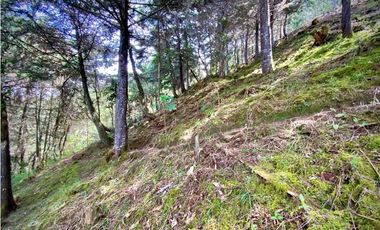 Venta Lote Parcelacion VISTA REPRESA