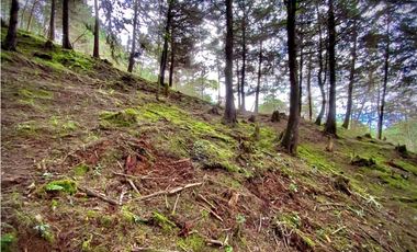 Venta Lote Parcelacion VISTA REPRESA