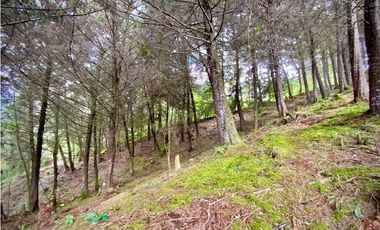Venta Lote Parcelacion VISTA REPRESA