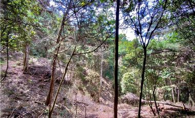 Venta Lote Parcelacion VISTA REPRESA