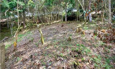 Venta Lote Parcelacion VISTA REPRESA