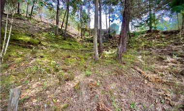 Venta Lote Parcelacion VISTA REPRESA