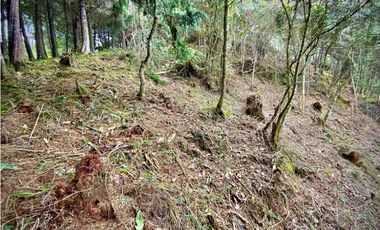 Venta Lote Parcelacion VISTA REPRESA