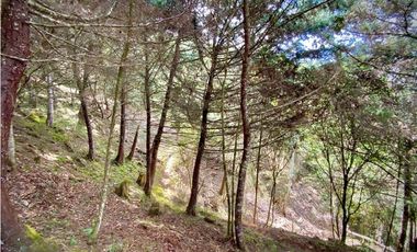 Venta Lote Parcelacion VISTA REPRESA