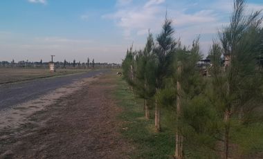 VENTA DE LOTES CON ENTREGA Y CUOTAS DESDE 550 DOLARES