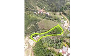 SE VENDE FINCA EN ANDES ANTIOQUIA A TAN SOLO 15 MM DEL PARQUE