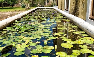 Hacienda en Venta en Kankabchen, Mérida, Yucatán
