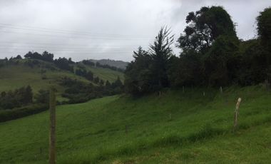 VENTA de FINCAS en GUASCA