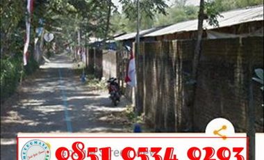 Tanah di Minggirsari Kanigoro cocok untuk kandang