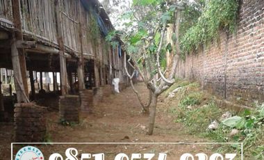 Tanah di Minggirsari Kanigoro cocok untuk kandang