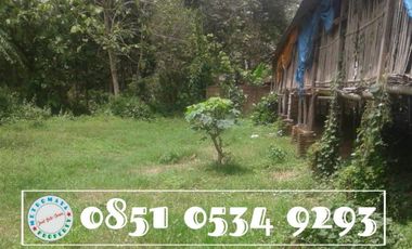 Tanah di Minggirsari Kanigoro cocok untuk kandang