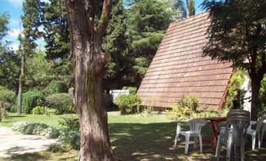 PRECIOSA CASAQUINTA CON ALPINO