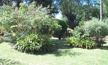 PRECIOSA CASAQUINTA CON ALPINO