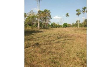 VENTA DE 10 HECTREAS VIA GARZONES