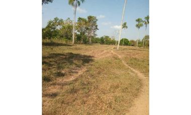 VENTA DE 10 HECTREAS VIA GARZONES