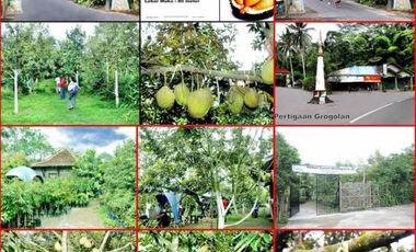 Tanah Murah Produktif Bonus Rumah & Kebun Durian di Magelang
