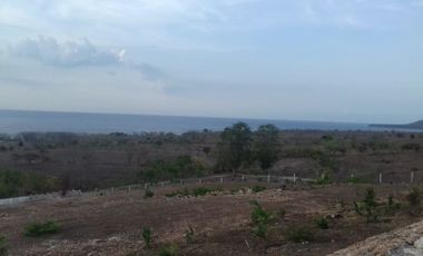Land in Sumbawa Besar near Brang biji Airport