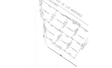 VENTA DE TERRENO EN CASCO VIEJO, SAN FELIPE 5,739 m2