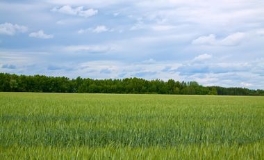 Casa en venta en Ayacucho, Buenos Aires