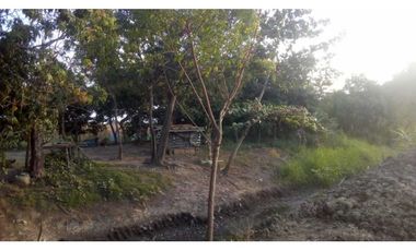 4 HECTREAS EN LA COROZA ARGENTINA