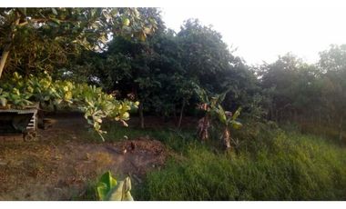 4 HECTREAS EN LA COROZA ARGENTINA