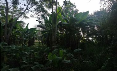 VENTA DE FINCA EN ISLA BLANCA, MONTERIA