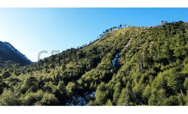 Parque natural de parcelas 80,5 ha en Melipeuco
