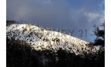 Parque natural de parcelas 80,5 ha en Melipeuco