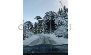 Parque natural de parcelas 80,5 ha en Melipeuco