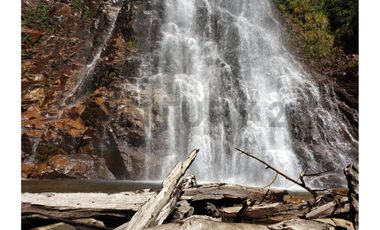 Parque natural de parcelas 80,5 ha en Melipeuco