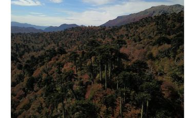 Parque natural de parcelas 80,5 ha en Melipeuco