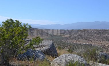 Se vende parcela 5000mt2 sector Tongoy