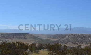 Se vende parcela 5000mt2 sector Tongoy