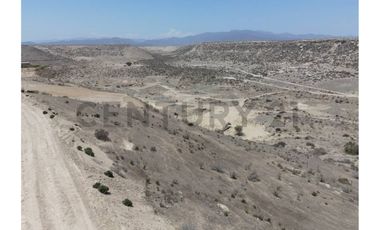 Se vende parcela 5000mt2 sector Tongoy