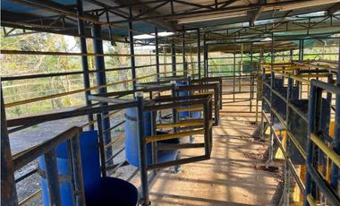 VENDO 28HECTARES LECHERIA