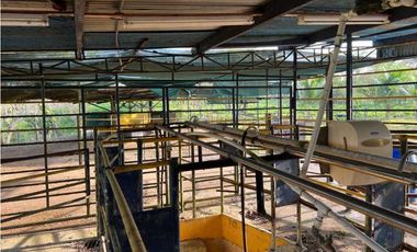 VENDO 28HECTARES LECHERIA