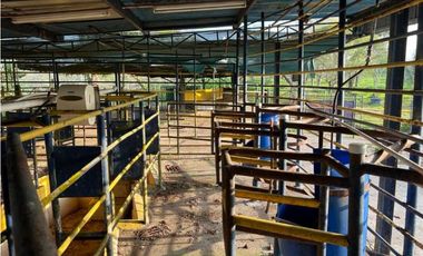 VENDO 28HECTARES LECHERIA