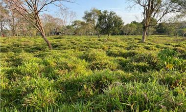 VENDO 28HECTARES LECHERIA