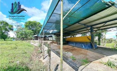 VENDO 28HECTARES LECHERIA