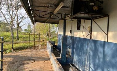 VENDO 28HECTARES LECHERIA