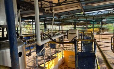 VENDO 28HECTARES LECHERIA