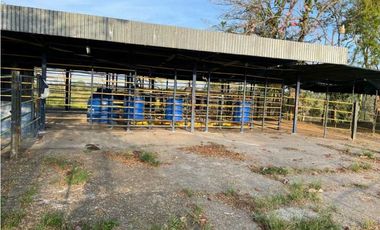 VENDO 28HECTARES LECHERIA