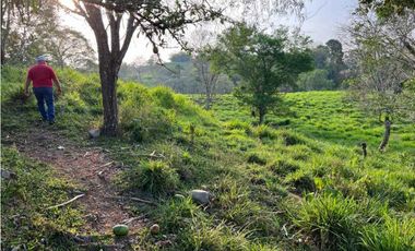 VENDO 28HECTARES LECHERIA