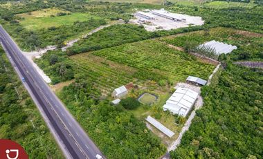 Rancho agropecuario en venta, carretera Xalapa - Veracruz