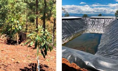 HUERTA EN VENTA EN CHARO