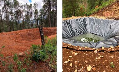 HUERTA EN VENTA EN CHARO