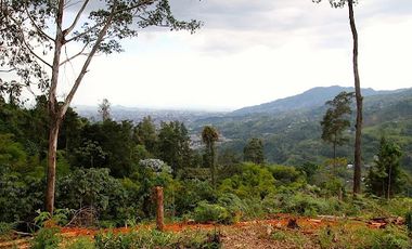 VENTA de LOTES en DOSQUEBRADAS