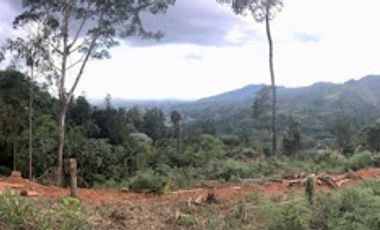 VENTA de LOTES en DOSQUEBRADAS